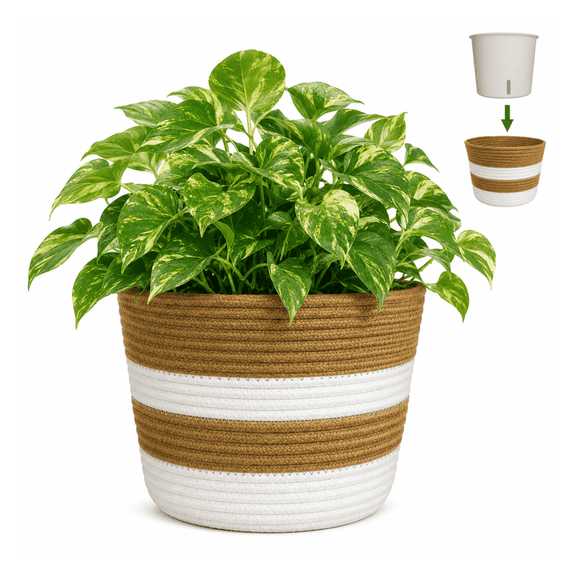 Planterist Maceta Tejida Mediana Autorregable - Moderna Decorativa - Ideal para salas, recámaras, comedores, oficinas, baños y más - Hecha de cuerda de algodón (Patzcuaro)