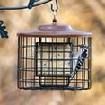 SquirrelX Squirrel Resistant Outdoor Hanging Bird Feeder, 2 Suet Cake