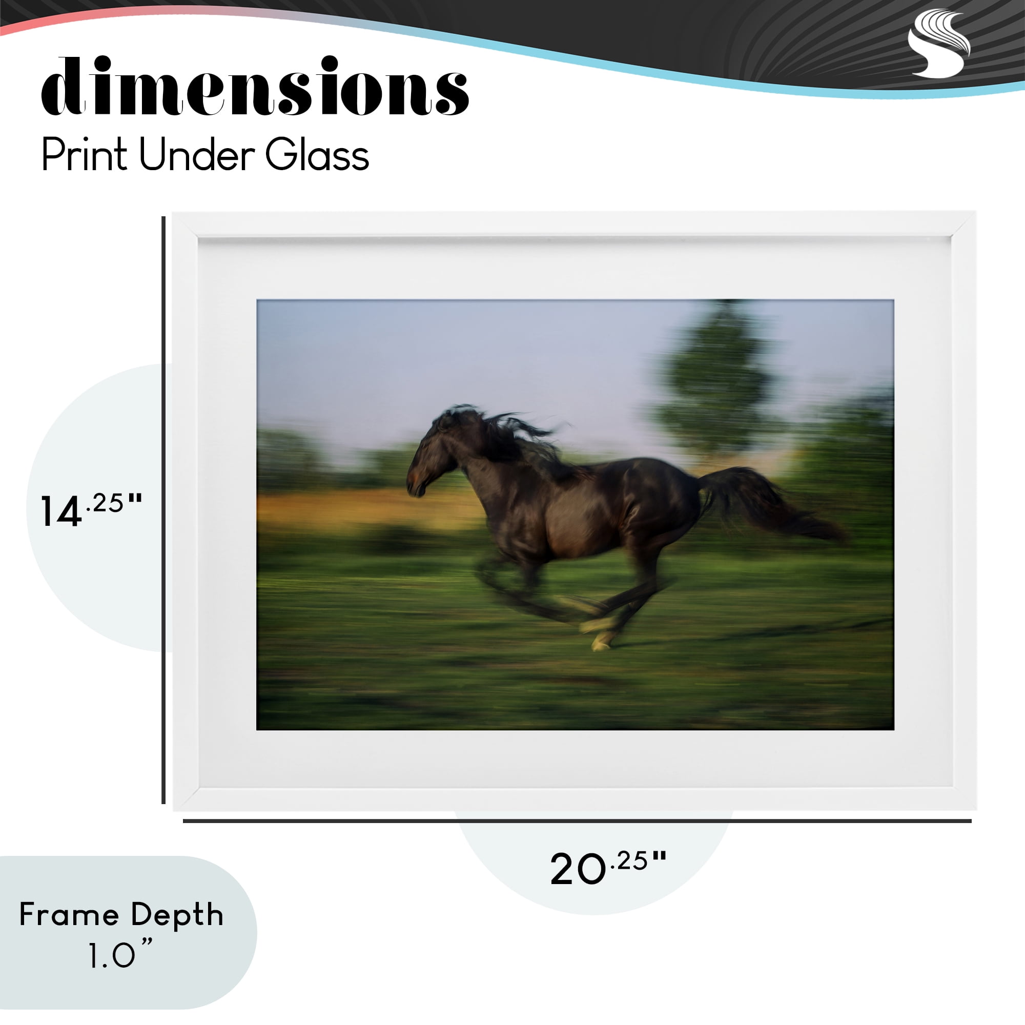 Stupell Industries Dashing Camargue Racehorse White Framed Print Under Glass, design by Scott Stulberg