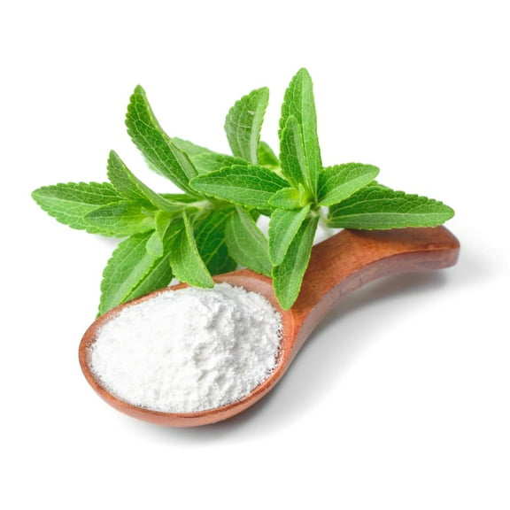 Stevia Sweetleaf Herb Plant Seeds I 100 Seeds I Natural Stevia Seeds for Planting I Non-GMO Heirloom Seeds