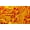 Golden Yellow & Red, variant on Plumeria Flower Polyester Sarong | Islands Fabric