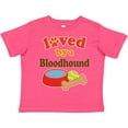 thumbnail image 3 of Inktastic Bloodhound Loved by a (dog Breed) Boys or Girls Toddler T-Shirt, 3 of 5