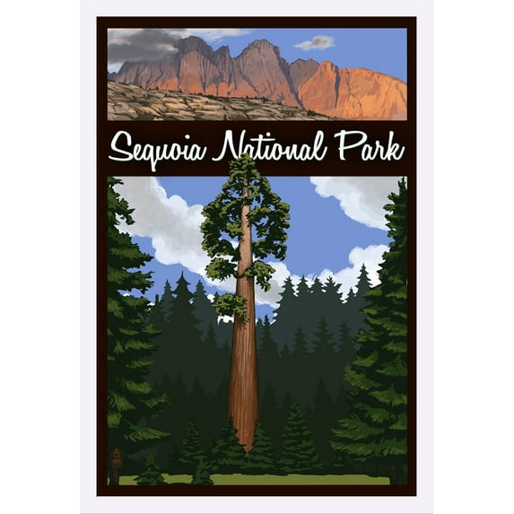Sequoia National Park, California - Big Tree & Palisades - Lantern Press Artwork (24x36 Giclee Art Print, Gallery Framed, White Wood)