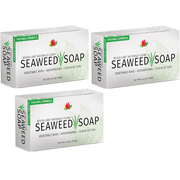 Reviva Original Formula Seaweed Soap 4.5 oz (Pack of 3), Naturally Clean and Deodorize Your Skin With This Freshly Scented Soap