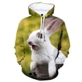 thumbnail image 5 of Sudadera con capucha con estampado 3D de animales, linda sudadera con patrón de conejo, sudadera deportiva informal de manga larga para hombres y mujeres, sudaderas con capucha para niños de otoño, 5 of 5
