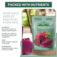 thumbnail image 3 of Liberty Orchard Organic Dried Red Dragon Fruit with No Added Sugar- Ideal for Recipes or a Nutritious Fruits for a Busy Lifestyle- Nutrient-Rich Dried Fruit with Vitamin C - 2 Pack-200g/each, 3 of 5