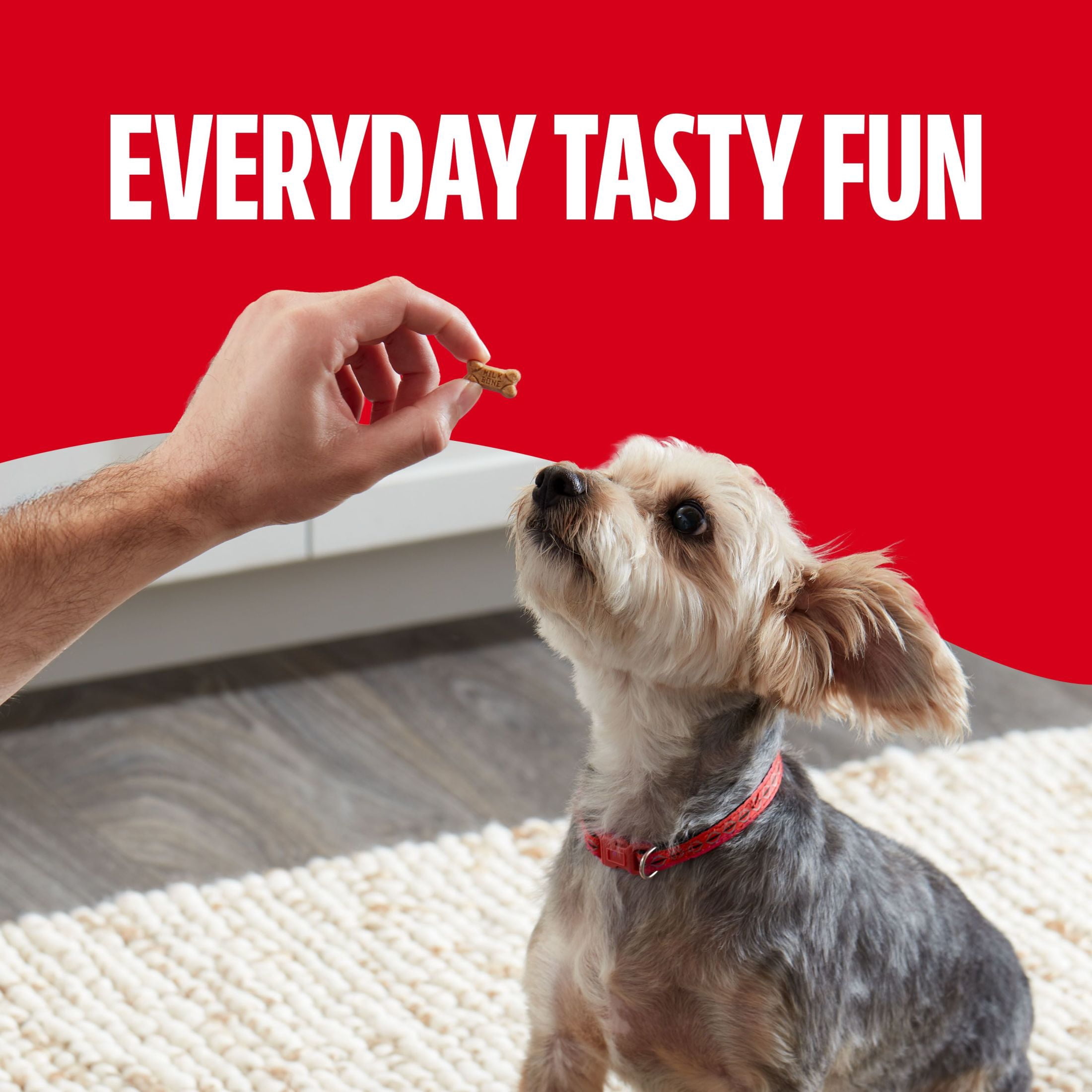 (6 pack) Milk Bone Soft & Chewy Mini’s Dog Treats, Made with Real Chicken, 4.5 oz Pouch