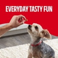 thumbnail image 6 of Milk Bone Soft & Chewy Mini’s Dog Treats, Made with Real Chicken, 18 oz Canister, 6 of 13