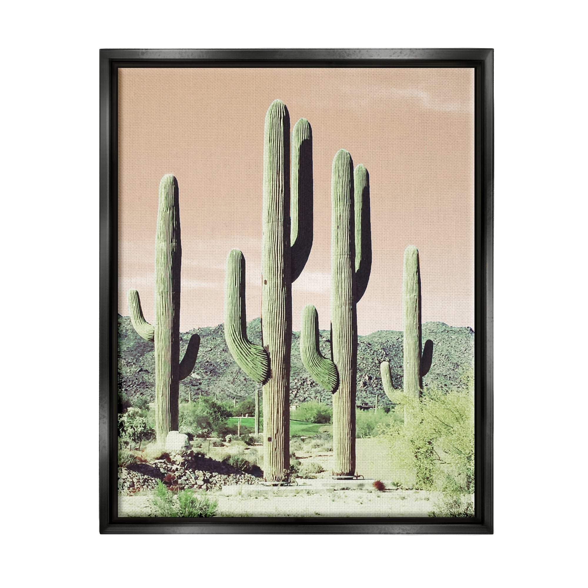 Stupell Industries Towering Cactus Plants Arid Desert Vegetation Nature Photograph Metallic Gold Floating Framed Canvas Print Wall Art, Design by Susan Bryant