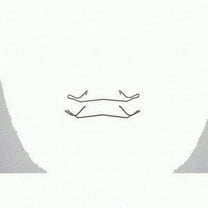 Carlson Quality Brake Parts 13392 Disc Brake Hardware Kit