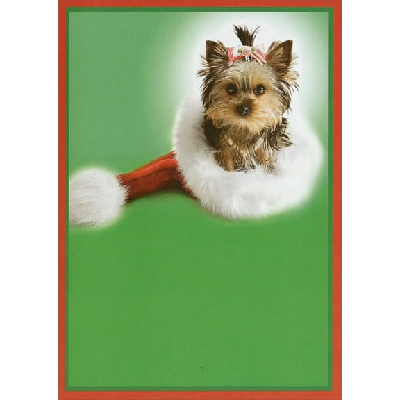 Recycled Paper Greetings Dog in Santa Hat Christmas Card