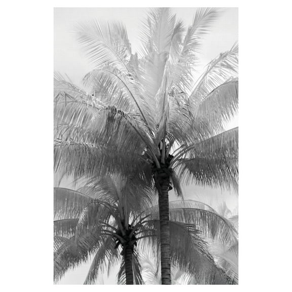 Kerala Focus by Bill Philip Palm Trees Photo Canvas Art