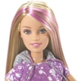 thumbnail image 5 of Barbie Camping Family Skipper Doll, 5 of 5
