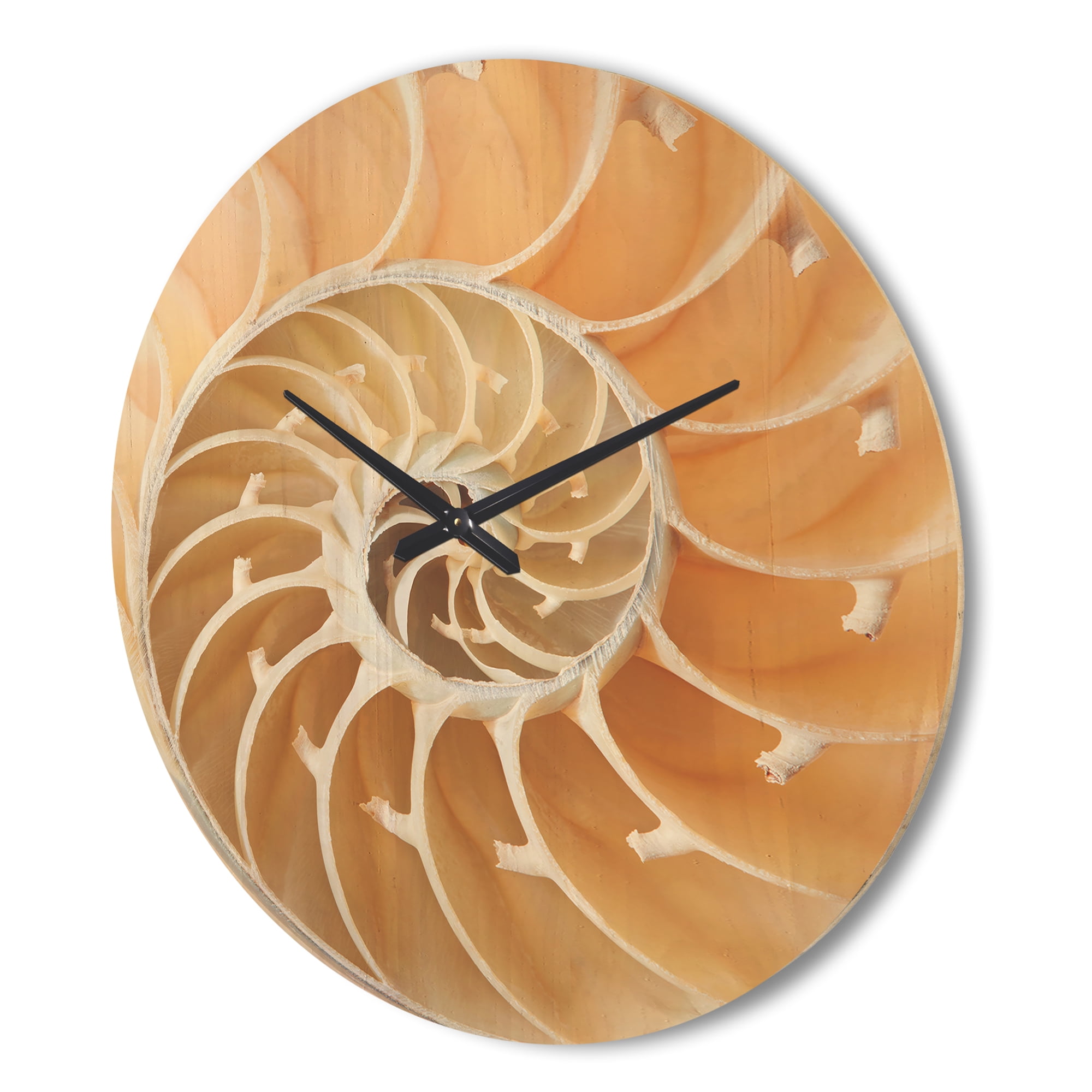 Designart 'Close Up Brown Nautilus Shell Pattern ' Modern Wood Wall Clock