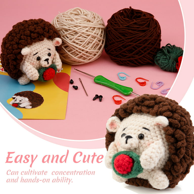 Beginners Crochet Kit, Cute Small Animals Kit for Beginers and Experts, All  in One Crochet Knitting Kit, Step-by-Step Instructions Video, Crochet  Starter Kit for Beginner DIY Craft Art (Hedgehog). 