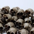 thumbnail image 2 of yingyy 20pack/lot Realistic Skeleton Skulls For Creative Home Décor - Lightweight And Portable Thick 20pcs 1Set, 2 of 6