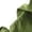 Green, variant on Travel Pants Women Cargo Pants Women Plus Size High Waisted Women'S Pants Petite Pull On Casual Pants For Women Petite Plus Black Sweatpants Women Baggy Plus Size My Item