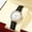BK, variant on RKSTN Watches for Women Faint Luminous Quartz Watches ForWith Pattern Leather Watchband Casual Brief Bracelet Watch Wonderful Gift Watches
