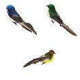 thumbnail image 1 of Estatuilla decorativa artesanal Clip de pájaros emplumados de espuma artificial 3 piezas Kusrkot Escultura al aire libre, 1 of 8