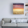 thumbnail image 3 of Ben Heine 'Glowing' Canvas Art, 3 of 3