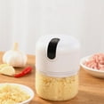 CaiTeLin Electric Mini Garlic ChopperPortable Food Processor
