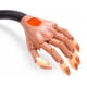 thumbnail image 4 of Mano Práctica Para Aplicación De Uñas Profesional Con 100 Tips Y Base Sujetadora De Mesa Belié Hand Trainer, 4 of 4
