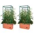 thumbnail image 1 of Hydrofarm GCTR 10 Gal Tomato Trellis Self Watering Grow System (2 Pack), 1 of 3