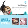 thumbnail image 3 of ANYPET Perro Cuidado Dental Cepillo de Dientes Juguete para Masticar con Dispensador de Alimentos con Ventosa, 3 of 7