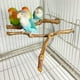 thumbnail image 5 of Soporte de madera para pájaros, soporte para palos, soporte para perchas de madera para pájaros, accesorios para jaulas de pájaros calientes, loros, 5 of 6