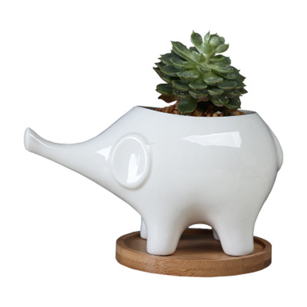 Simple Outdoor Gardening Succulent Elephant Flower Pot Ceramic Flower