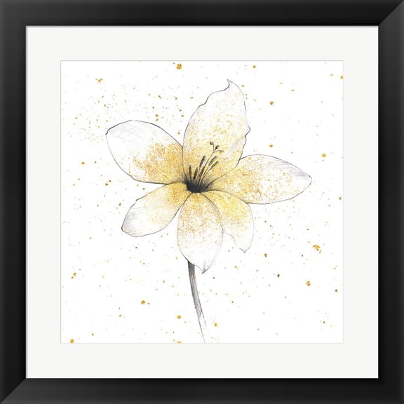 Gilded Graphite Floral II by Avery Tillmon, Framed Wall Art, 19.5W x 19.5H