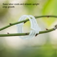 thumbnail image 3 of 200 Pieces Plant Support Clip Detachable Replacement Solid Color Anti-lost Anti-rust Gardening Growing Ring Tool Green, 3 of 9