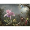 thumbnail image 2 of Martin Johnson Heade 24x19 Black Ornate Framed Double Matted Museum Art Print Titled: Cattleya Orchid and Three Hummingbirds (1871), 2 of 5