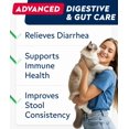 thumbnail image 3 of Polvo probiótico para gatos STRELLALAB Digestive Health, 226 g, paquete de 2, 3 of 8