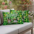 thumbnail image 4 of St. Patrick's Day Pillow Covers 2 Pack Watercolor Green Hat Cat Rabbit Shamrocks Green Plaid Pillowcase Waterproof Outdoor Throw Pillow Cover for Patio Balcony Rectangular Cushion 20”x12”, 4 of 9