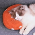 thumbnail image 6 of SSZMDLB under $5 Cat Pillow Pet Bed, Soft Fluffy Donut Shape Pet Cushion, Washable Small Pet Bed for Cats and Dogs, Comfortable Pet Resting Pad for Indoor Use, 6 of 6