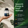 thumbnail image 6 of NatureBell Benfotiamine with Thiamine, 300mg Benfotiamine & 100mg Thiamine, Heart Health Energy Production & Nervous System Support, Vitamin B1 Complex, 240 Vegetarian Capsules (Servings: 120), 6 of 8