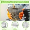 thumbnail image 3 of 2 Pack Plant Root Guard Baskets,Stainless Steel Wire Baskets Protect Plant Roots,Gopher Wire Speed Baskets,Stainless Steel Mole and Vole Baskets for Garden Plant Root Protection, 3 Gallon, 3 of 7