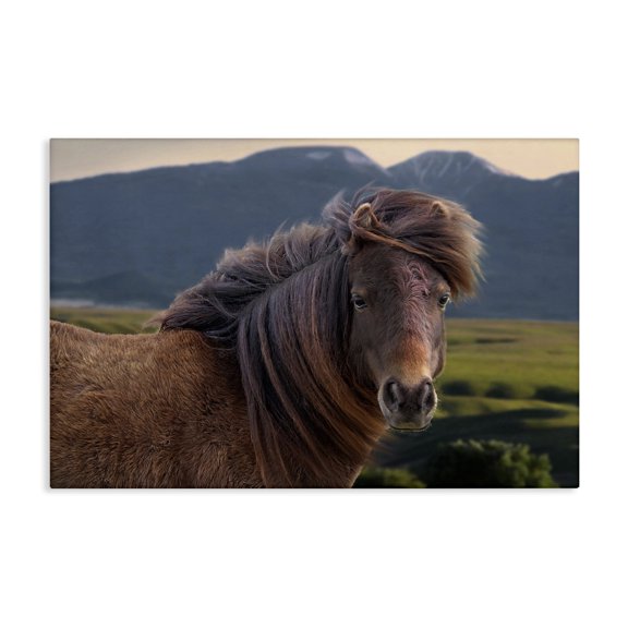 Stupell Industries Farmhouse Windblown Mare in Mountain Valley Canvas Art, 24 x 16, by Steve Toole