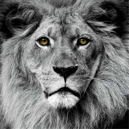 - Empire Art Direct