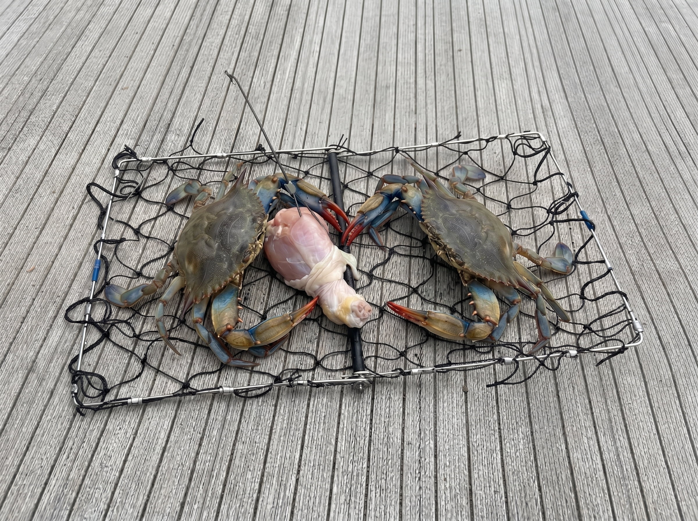 AirFly Foldable Crabjaw Trap with Bait Clip - Redesigned Rectangle Castable Crab Trap Hawk (Traps 3pcs)