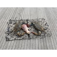 thumbnail image 4 of AirFly Foldable Castable Crab Trap - Crab Hawk & Crab Jaw Star Trap with Bait Clip - Portable Fishing Rod Crab Pot for Blue Crabs & Dungeness - Designed in USA (Pack of 2), 4 of 8