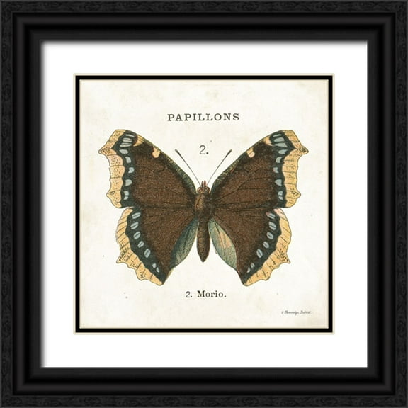 Babbitt, Gwendolyn 12x12 Black Ornate Wood Framed with Double Matting Museum Art Print Titled - Butterfly II