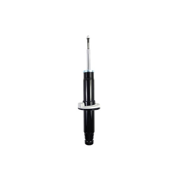 Suspension Strut Assembly