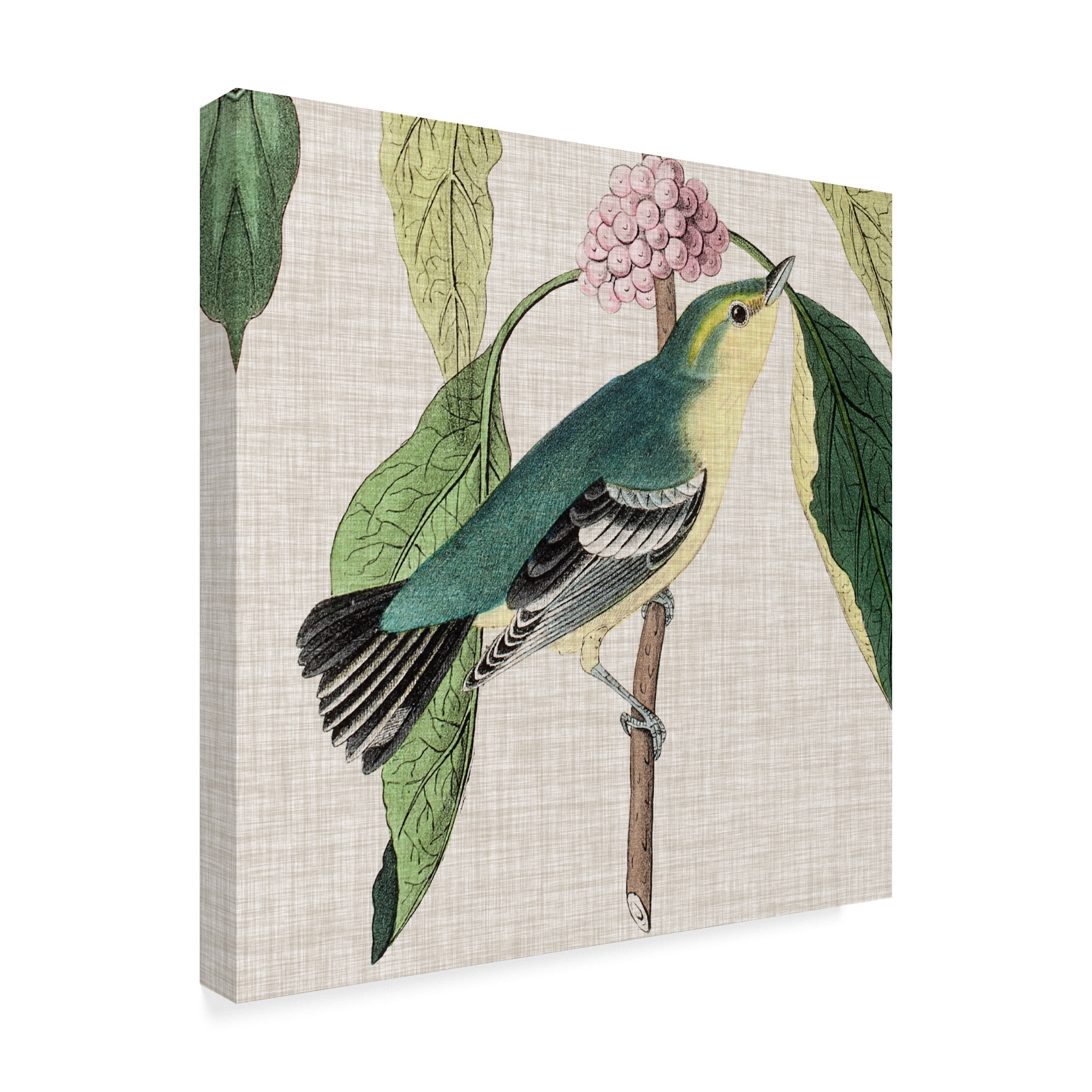 Trademark Fine Art 'Avian Crop IV' Canvas Art by John James Audubon