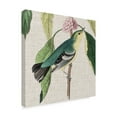 thumbnail image 2 of Trademark Fine Art 'Avian Crop IV' Canvas Art by John James Audubon, 2 of 4