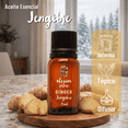 thumbnail image 3 of Aceite Esencial de Jengibre OLEUM VITAE 100% Puro y Organico 15ml, 3 of 5