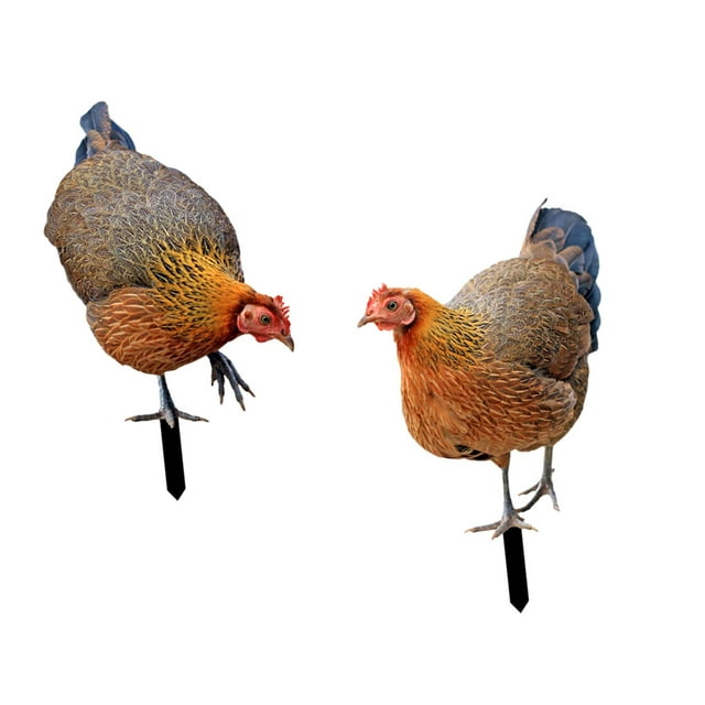 Escultura realista de pollo, gallina, letrero realista, figuras para decoración de suelo, gallo AB