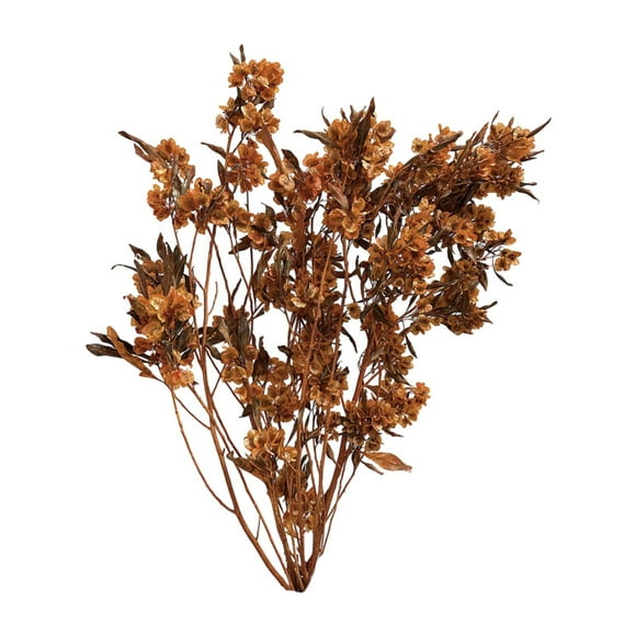 GUOOL Dried Flower Bouquet Christmas Bedroom Wedding Living Room Dry Flower Bundle Orange