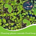 thumbnail image 5 of 5Pcs Aquarium Floating Plant Rings Fish Feeding Rings Set 5 Sizes Foam Floating Plant Corral Round Fish Feeder Rings Fish Plant Ring for Bettas Aquarium Accessories Black Black DIY, 5 of 9